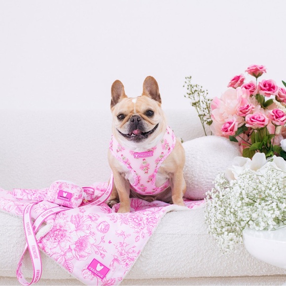 Frenchie Other - Frenchie Brand Toile Pink Floral Duo Reversible Breathable Harness S